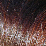 коричневые волосы с сединой окрашенные хной