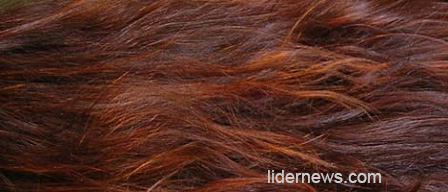 коричневые волосы окрашенные хной